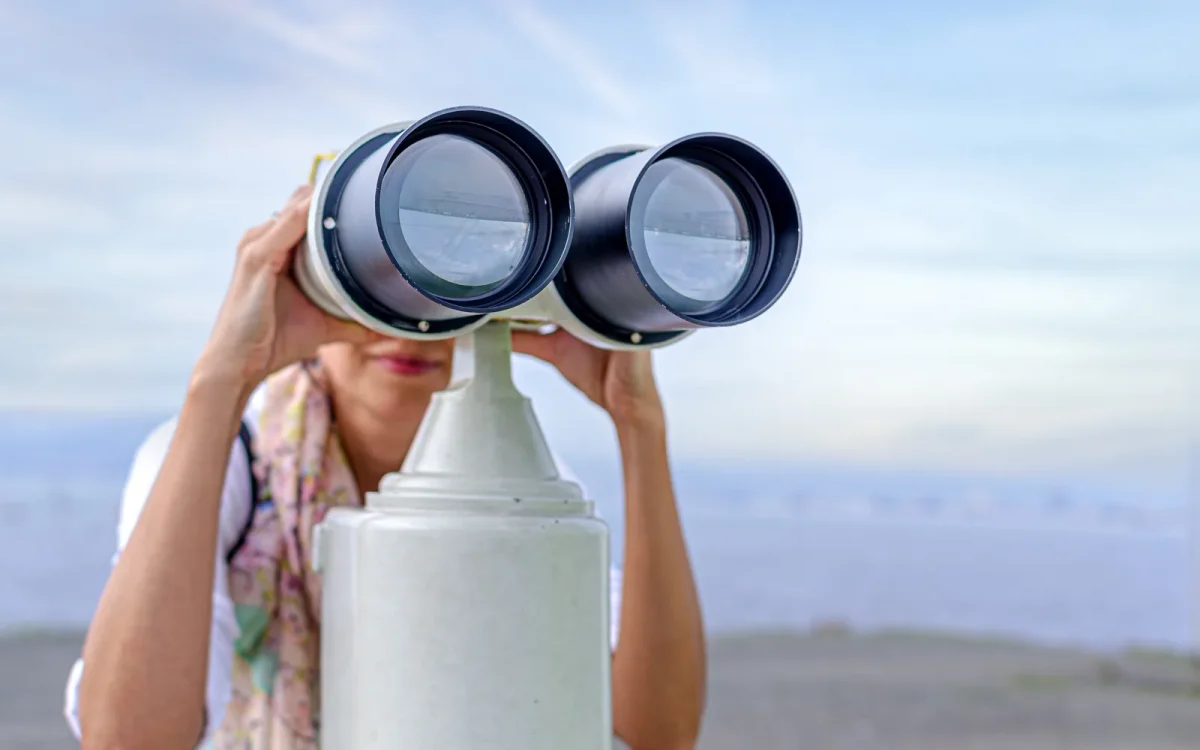 Femme qui scrute l'horizon dans une longue-vue panoramique au bord de la mer, pour illustrer la recherche d'un site WordPress introuvable sur Google
