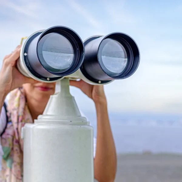 Femme qui scrute l'horizon dans une longue-vue panoramique au bord de la mer, pour illustrer la recherche d'un site WordPress introuvable sur Google